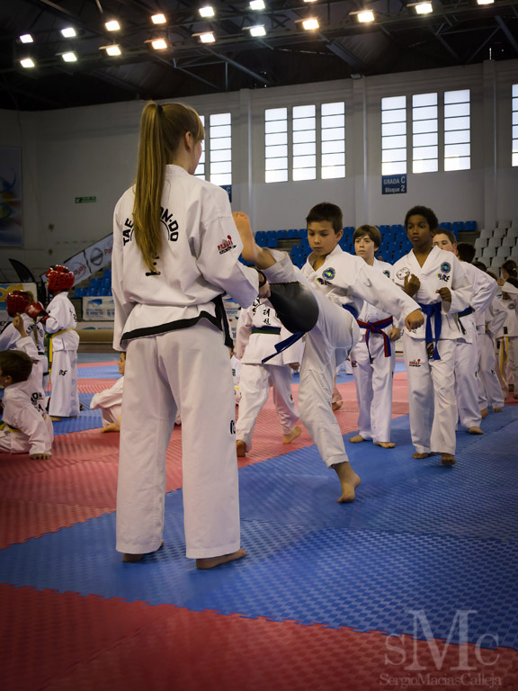 DIA DEL TAEKWONDO ABRIL 2017_3679.JPG